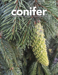 Conifer Quarterly Fall 2020