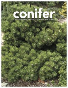 Conifer Quarterly Fall 2021