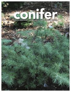 Conifer Quarterly Spring 2021