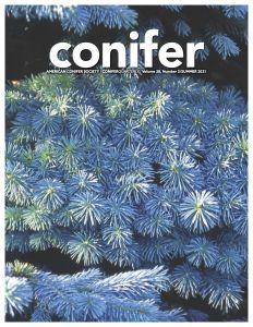 Conifer Quarterly Summer 2021