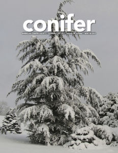 Conifer Quarterly Winter 2021