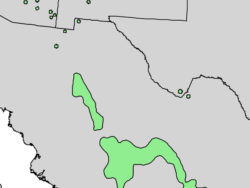 Native range of <em>Cupressus arizonica </em>