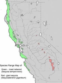 <em>Sequoia sempervirens </em>— Species Range Map from US Department of Agriculture (map in the Public Domain)