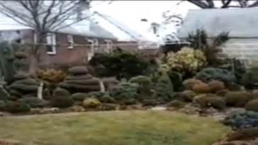 A Visit to Ed Rezek's Garden