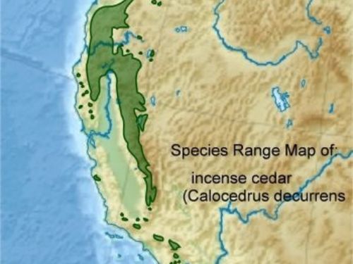 <em>Calocedrus decurrens </em>— Species Range Map