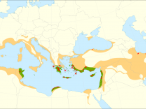 map by By Giovanni Caudullo, Gianni Della Rocca - Caudullo, G., Welk, E., San-Miguel-Ayanz, J., 2017. Chorological maps for the main European woody species.