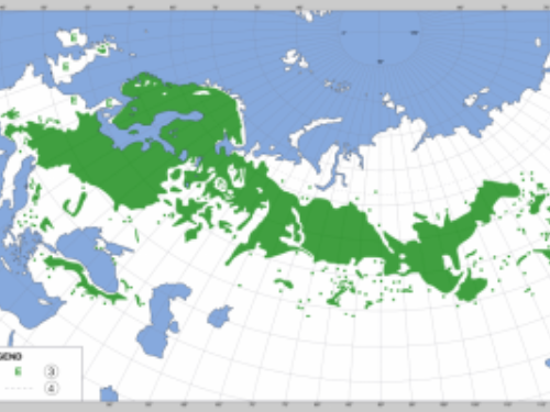 Distribution map of the native ranges of Pinus sylvestris (Scots pine) — in Asia and Europe.
