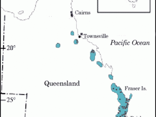 native range of <em>Araucaria cunninghamii </em> in Australia