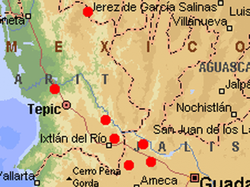sites where <em>Pinus praetermissa </em> has been located; map courtesy of Farjon and Styles.