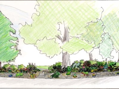 Elevations for the proposed Conifer Garden
