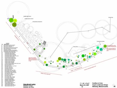 Proposed plantings - green circles represent conifers