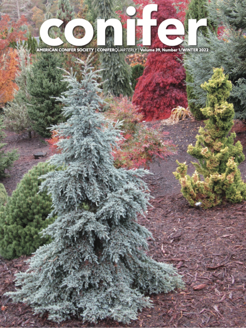 Cover of Conifer Quarterly Winter 2022