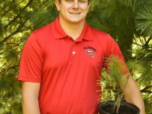 Cole Hamilton of WKU with one of his grafted pines