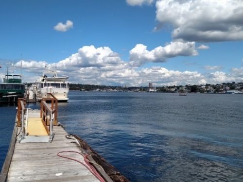 After the Washington Park Arboretum, I made a quick stop at the docks at Lake Union where our Saturday evening dinner cruise will embark. This part will be really fun.