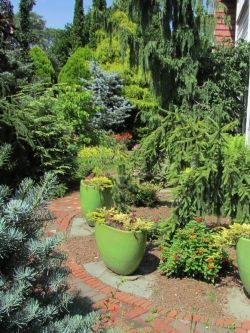 Containers add interest and are a great way to showcase small conifers!