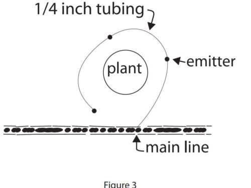Figure 3 demonstrating the position of emitters of a drip irrigation system in the garden