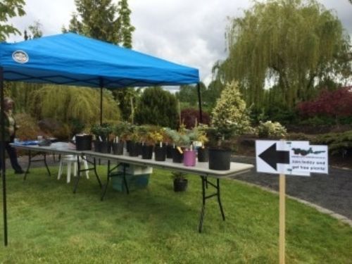 Conifer Days at the Oregon Garden May 10-11