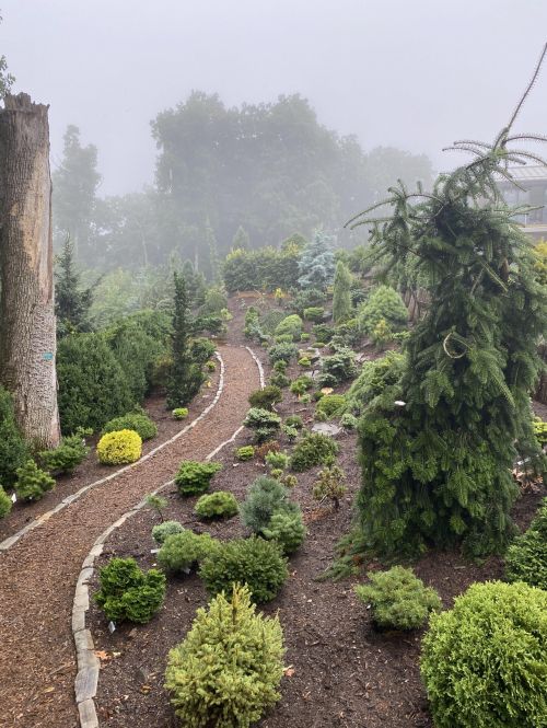 The Galloway's garden in the misty rain