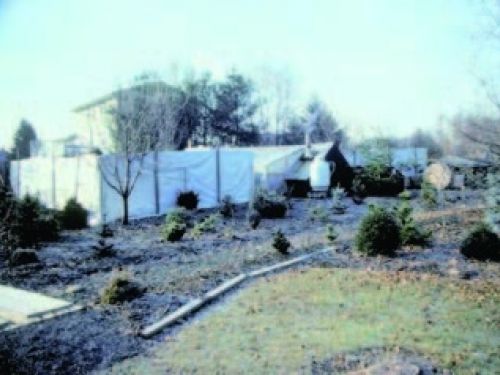 My first greenhouse, Lehighton, PA (USDA Zone 6a), was built out of 2 x 4’s and poly. It was heated with a coal stove and sufficed until we moved to Oregon in 1986. My investment to start my nursery was minimal.