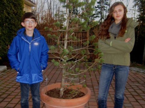 Mac and Anna with our 2013 tree, Pinus aristata var. "TT"
