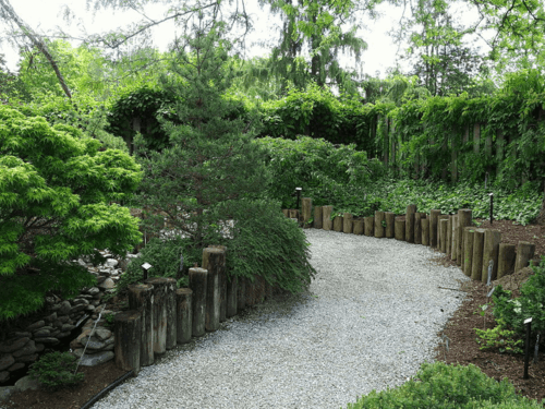 Photograph by Rowe Arboretum