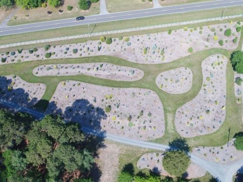 Bartlett Arboretum- Arial view of new conifers