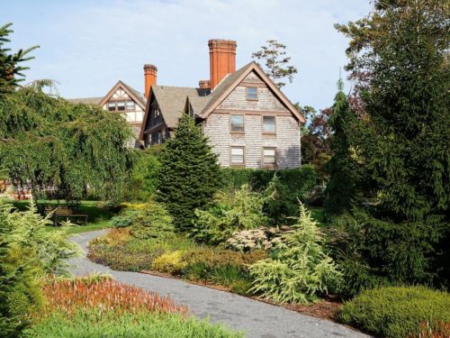 The conifer garden at the Manor House at the BCA. Photo by Heather Coste