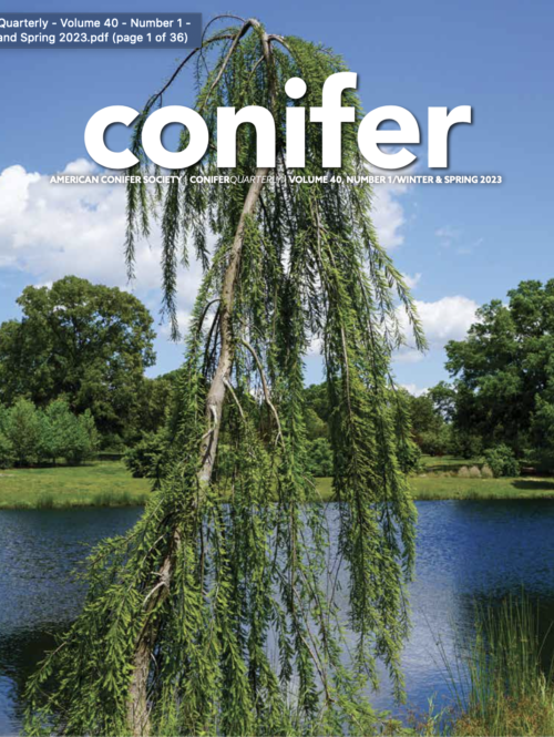 Cover Winter/Spring 2023 Conifer Quarterly